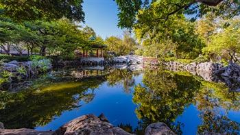 The lake reflection mirrors a clear blue sky, the pavilion, the arched bridge and the surrounding planting, creating a spectacular iconic view of the gardens.